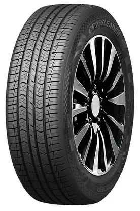 Double Star DSS02 225/55R19 99V