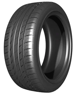 Double Star DU01 245/50R18 100V